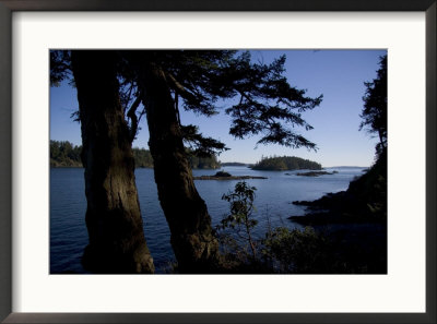 Islands Surrounding Vancouver Island In British Columbia by Taylor S. Kennedy Pricing Limited Edition Print image