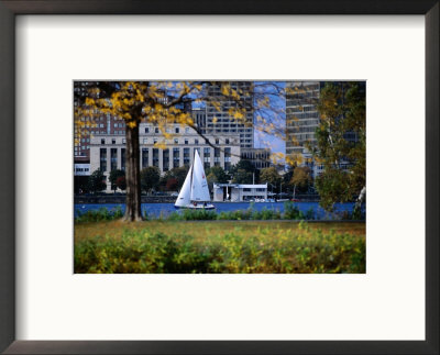 Sailing Off The Esplanade On The Charles River, Boston, Massachusetts, Usa by Angus Oborn Pricing Limited Edition Print image