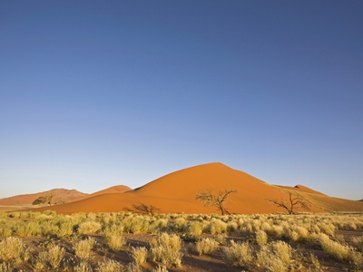 Africa, Namibia, Landscape With Trees And Sand Dunes by Fotofeeling Pricing Limited Edition Print image