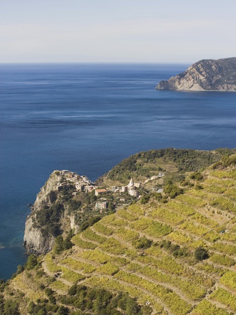 Italy, Liguria, Corniglia, Coast Area by Michael Reusse Pricing Limited Edition Print image