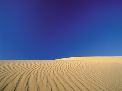 Sand Dune by Londie G. Padelsky Pricing Limited Edition Print image