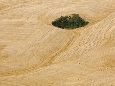 Italy, Tuscany, Harvested Corn Fields by Fotofeeling Pricing Limited Edition Print image