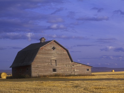 Old Barn In The Peace River Country, Near Dawson Creek, British Columbia, Canada. by David Nunuk Pricing Limited Edition Print image