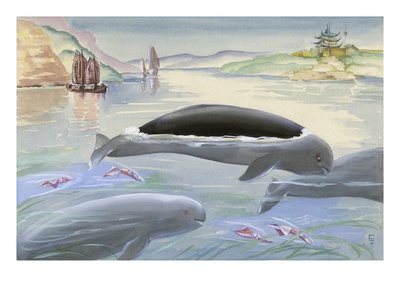 Finless Porpoises Inhabit The Asiatic Coastal Waters by National Geographic Society Pricing Limited Edition Print image