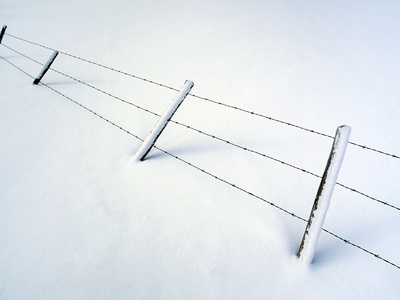 Fence And Snow In Pasture, Near Cremona, Alberta, Canada by Darwin Wiggett Pricing Limited Edition Print image