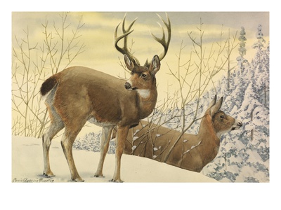 A Painting Of Two Black-Tailed Deer Standing In The Snow by Louis Agassiz Fuertes Pricing Limited Edition Print image