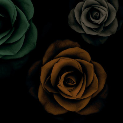 Rose Trio Ii by Jan Lens Pricing Limited Edition Print image
