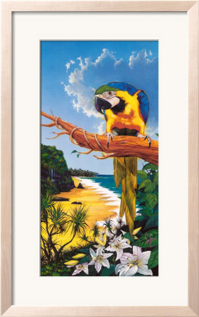 Macaw Cove by Scott Westmoreland Pricing Limited Edition Print image