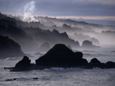 Coastline Of Mendocino, Sonoma, Usa by Lee Foster Pricing Limited Edition Print image