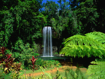 Millaa Millaa Falls, Atherton Tablelands, Australia by John Banagan Pricing Limited Edition Print image