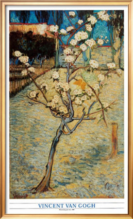 Pear Tree In Bloom, 1888 by Vincent Van Gogh Pricing Limited Edition Print image