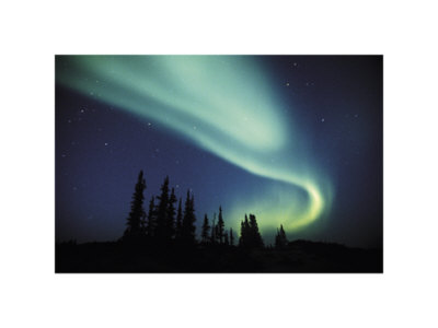 Aurora Borealis by George Lepp Pricing Limited Edition Print image