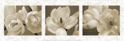 Winter Magnolias by Tony Stuart Pricing Limited Edition Print image