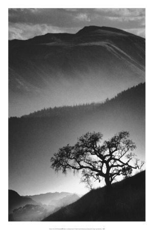 Mountainside Mist by Jean Miele Pricing Limited Edition Print image