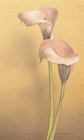 Calla Ii by Kory Fluckiger Pricing Limited Edition Print image