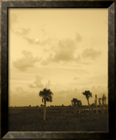 Viera Dusk I by Rene Griffith Pricing Limited Edition Print image