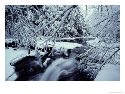 Branches Heavy With Snow Droop Over A Creek With A Small Waterfall, Catskill Mountains, New York by John Eastcott & Yva Momatiuk Pricing Limited Edition Print image