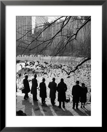 Feeding The Ducks And Swans In Central Park On A Sunday Afternoon by Andreas Feininger Pricing Limited Edition Print image