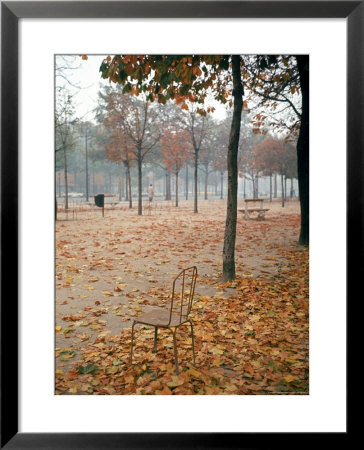 Lone Chair Sitting Amongst Fallen Leaves In Tuileries Gardens by Alfred Eisenstaedt Pricing Limited Edition Print image