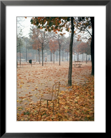 Lone Chair Sitting Amongst Fallen Leaves In Tuileries Gardens by Alfred Eisenstaedt Pricing Limited Edition Print image