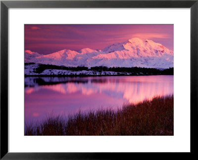 Mt. Denali At Sunset From Reflection Pond, Alaska, Usa by Charles Sleicher Pricing Limited Edition Print image