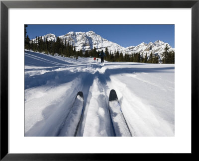 Bow Summit, Banff National Park, Unesco World Heritage Site, Rocky Mountains, Alberta, Canada by Snell Michael Pricing Limited Edition Print image
