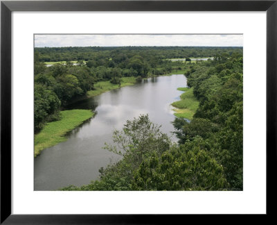 Anavilhanas Archipelago, Rio Negro, Amazon Area, Brazil, South America by Ken Gillham Pricing Limited Edition Print image