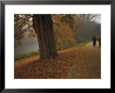 Couple Walking Through The Jephson Gardens In Autumn, Leamington Spa, Warwickshire, England by David Hughes Pricing Limited Edition Print image