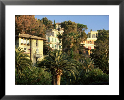 Hillside Mansions Amongst Palms, Santa Margherita Ligure, Portofino Peninsula, Liguria, Italy by Ruth Tomlinson Pricing Limited Edition Print image