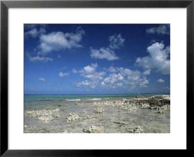 Rocky Shore, Grand Cayman, Cayman Islands, West Indies, Central America by Ruth Tomlinson Pricing Limited Edition Print image