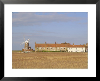 Reedbeds And Cley Windmill, Norfolk, England by Pearl Bucknell Pricing Limited Edition Print image