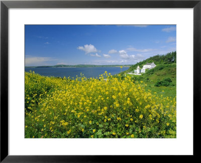 Hook Head Peninsula, County Wexford, Ireland by J P De Manne Pricing Limited Edition Print image