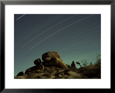 Time Exposure At Night, Joshua Tree National Park, California by Aaron Mccoy Pricing Limited Edition Print image