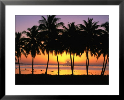 Palm Trees At Sunset, Cook Islands by Peter Hendrie Pricing Limited Edition Print image