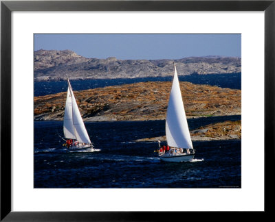 Sailboats Cruising In Bohuslan Archipelago, Mollosund, Vaster-Gotaland, Sweden by Anders Blomqvist Pricing Limited Edition Print image