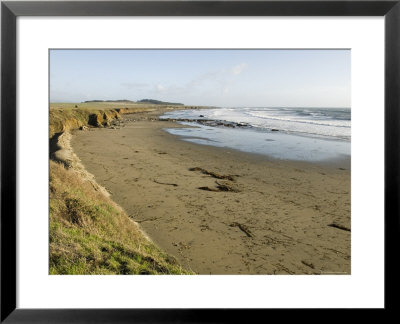Beach North Of San Simeon, California by Rich Reid Pricing Limited Edition Print image