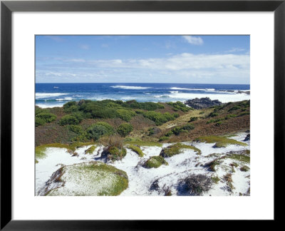 Pristine Sand Dunes And Coastal Heath Above A Vast Ocean, Australia by Jason Edwards Pricing Limited Edition Print image