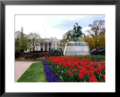 View Of The White House From Lafayette Park by Rex Stucky Pricing Limited Edition Print image