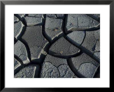 Silt Dries After Flash Flood In Gulkana, Alaska by Michael S. Quinton Pricing Limited Edition Print image