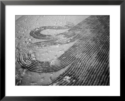 Deep Furrows Made To Prevent Drifting Of Dirt On Farmland After Dust Storm In Dustbowl Area by Margaret Bourke-White Pricing Limited Edition Print image