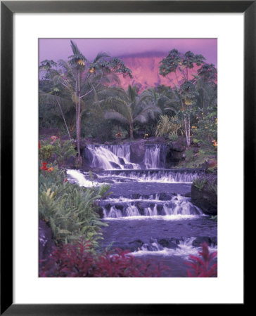 Tabacon Hot Springs, Arenal Volcano, Costa Rica by Nik Wheeler Pricing Limited Edition Print image
