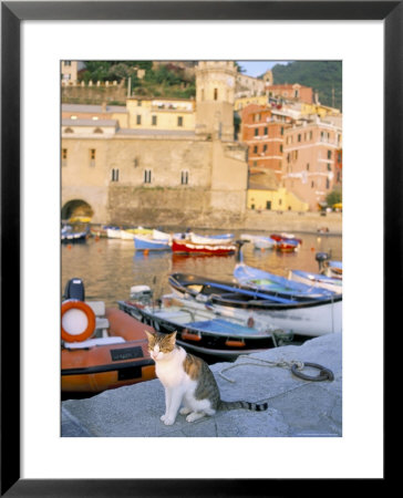 Cat By Harbour, Village Of Vernazza, Cinque Terre, Unesco World Heritage Site, Liguria, Italy by Bruno Morandi Pricing Limited Edition Print image