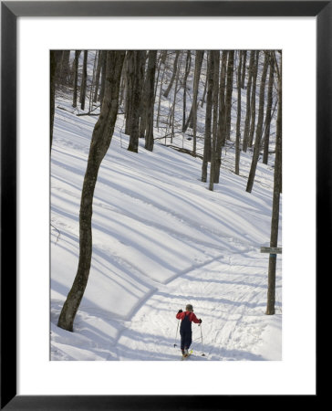 Little Boy Country Skiing On A Trail Through Snowy Woods, Canaan Valley, West Virginia by Skip Brown Pricing Limited Edition Print image