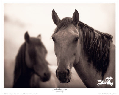 Chief And His Mare by Kimerlee Curyl Pricing Limited Edition Print image
