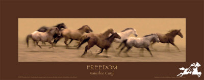Freedom by Kimerlee Curyl Pricing Limited Edition Print image
