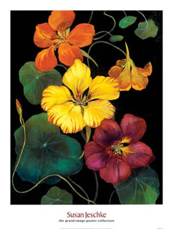 Midnight Bloom Iv by Susan Jeschke Pricing Limited Edition Print image