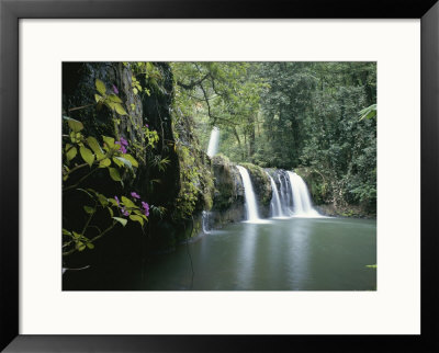 Rainforest View With Waterfall And Red Flowers by John Dunn Pricing Limited Edition Print image