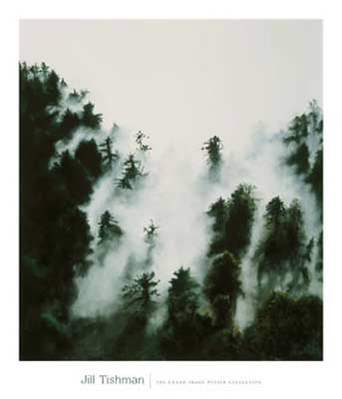Fog And Redwoods by Jill Tishman Pricing Limited Edition Print image