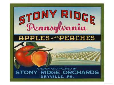 Stony Ridge by Elizabeth Garrett Pricing Limited Edition Print image