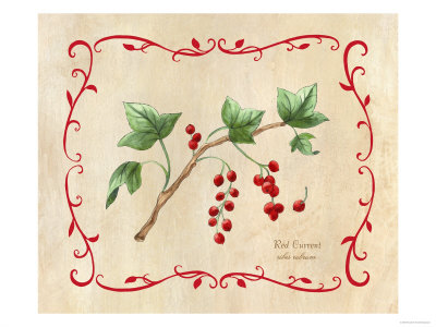 Red Currents by Elizabeth Garrett Pricing Limited Edition Print image